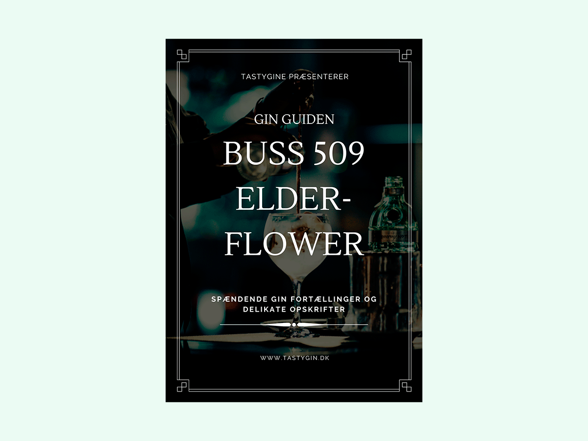 Buss-509-elderflower-ginguide 2